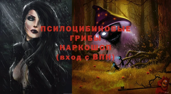 мдпв Богданович