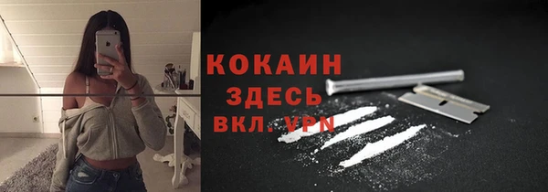 мдпв Богданович