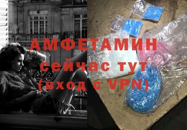 мдпв Богданович