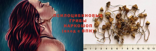 мдпв Богданович